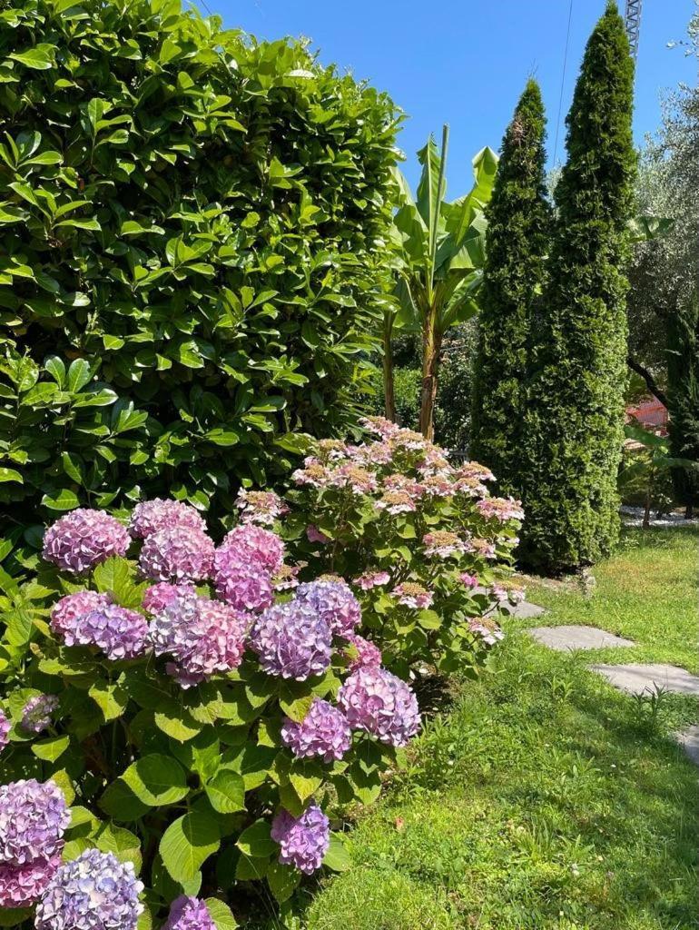 Appartamento La Perla ตอร์รีเดลเบนาโก ภายนอก รูปภาพ